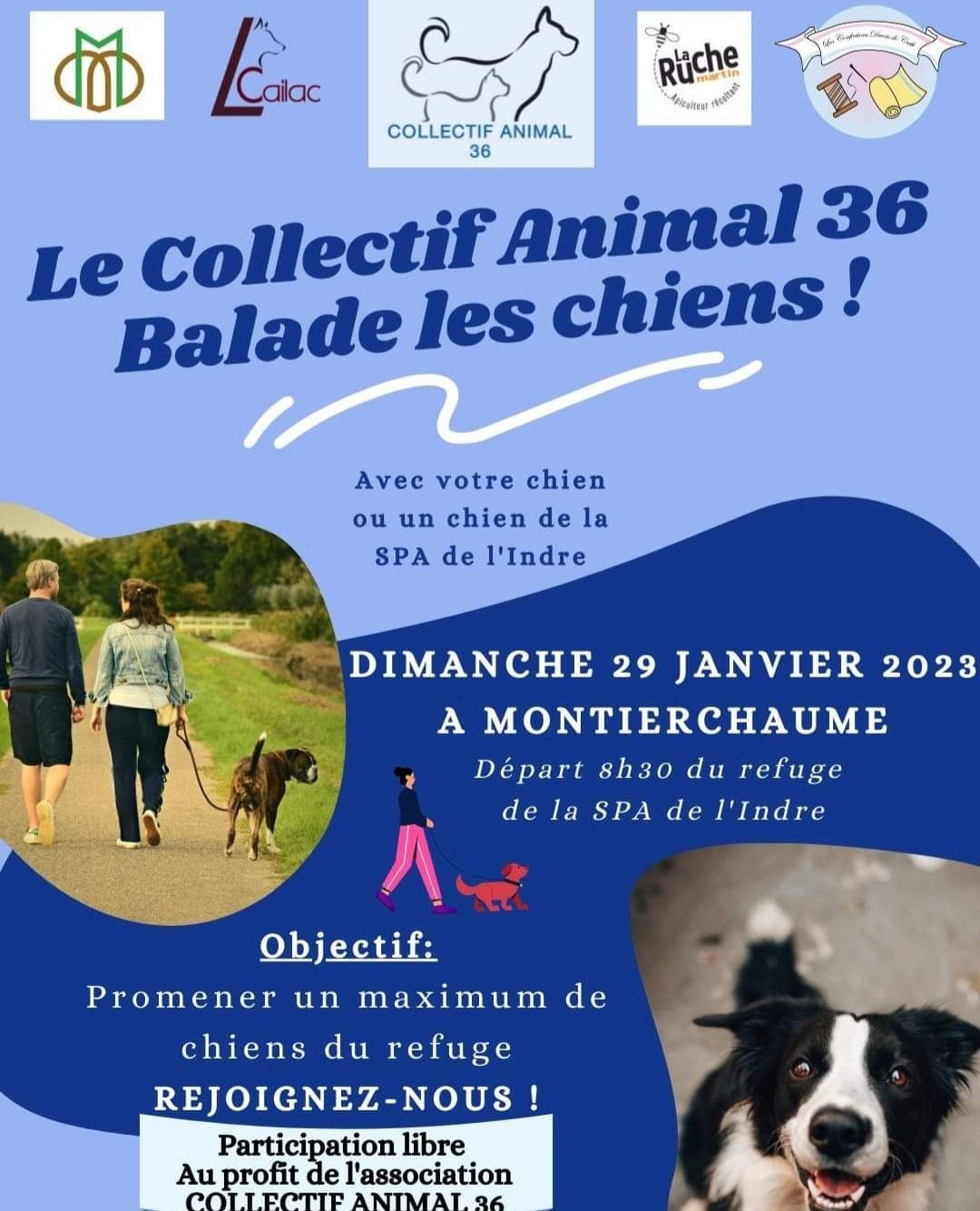 BALADE DE CHIEN