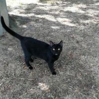 BABOU  Réservée