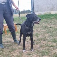 BALOU