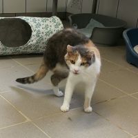 SUZIE