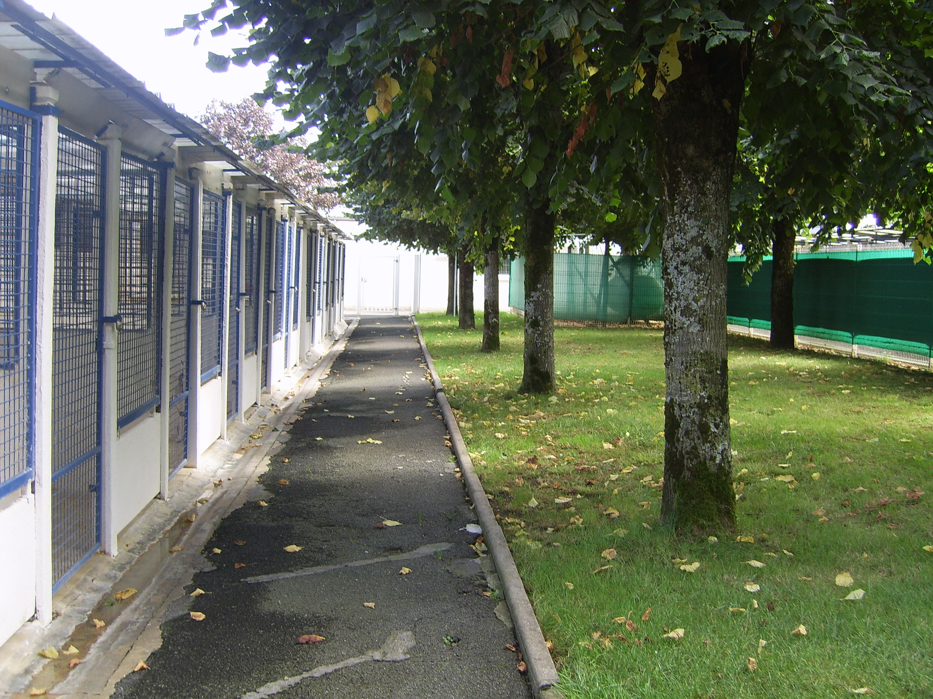 bâtiment-chiens-vue-extérieur.jpg